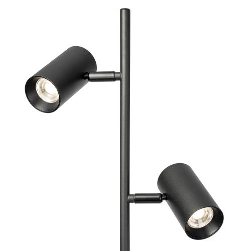 Citilux Twin CL809011N Торшер светодиодный Чёрный фото 3 Citilux Twin CL809011N Торшер светодиодный Чёрный фото 3