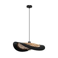 Подвесной светильник Arte Lamp WOODSTOCK A7059SP-1BK