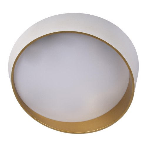 10199 White Потолочный светильник LOFT IT Coin фото 4