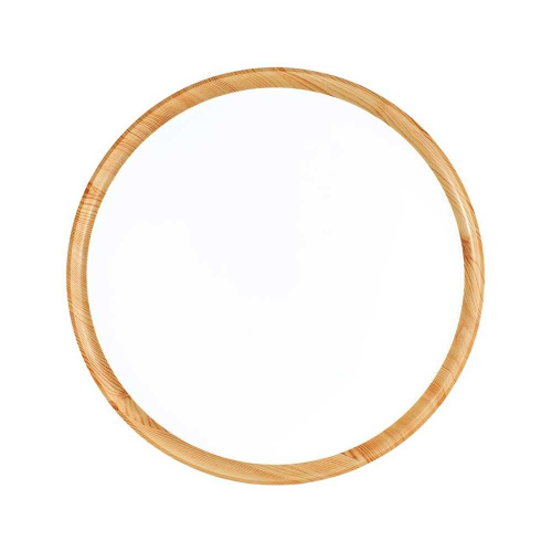 Настенно-потолочный светильник Sonex Tan Woodi 3019/EL фото 4