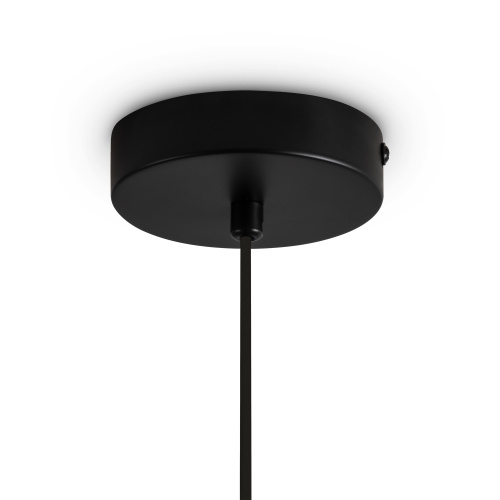 Подвесной светильник Freya FR5593PL-01B1 фото 13