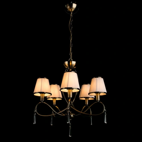 Подвесная люстра Arte Lamp LOGICO A1035LM-5AB фото 2