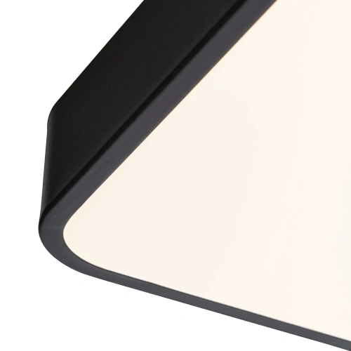 Потолочный светильник Arte Lamp SCENA A2687PL-45BK фото 3