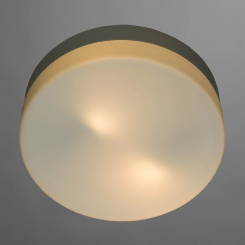 Потолочный светильник Arte Lamp AQUA A3211PL-2WH фото 2