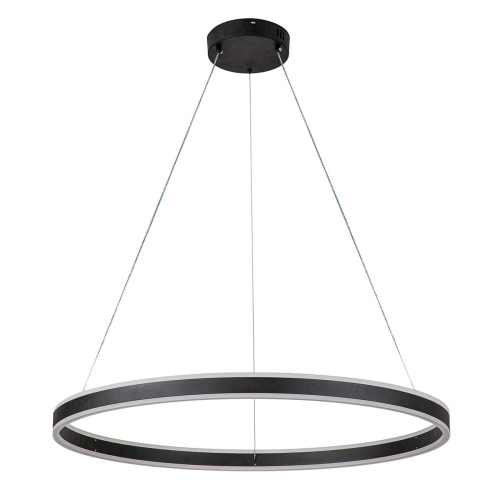 Подвесной светильник 14001/1P Black фото 3