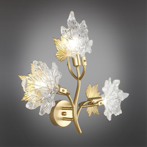 Светильник настенный (Бра) OML-52701-03 фото 8 Светильник настенный (Бра) OML-52701-03 фото 8