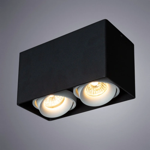 Точечный накладной светильник Arte Lamp PICTOR A5654PL-2BK фото 2