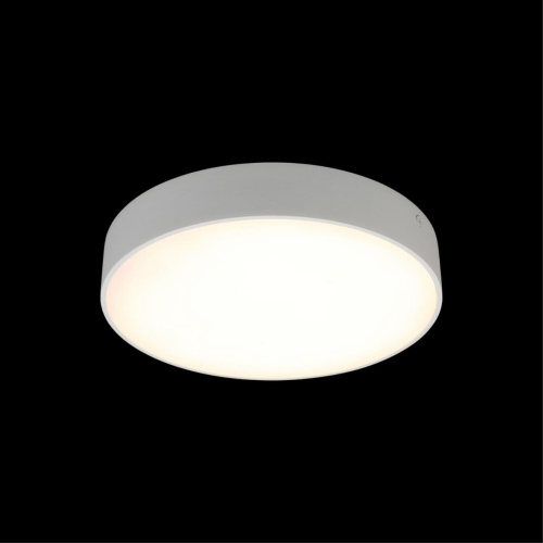 Светильник настенно-потолочный APL.0113.09.24 фото 9 Светильник настенно-потолочный APL.0113.09.24 фото 9