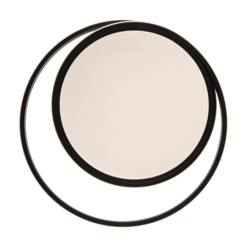 Потолочный светильник Freya FR10032CL-L98B Потолочный светильник Freya FR10032CL-L98B