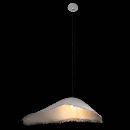 10373/600 Подвесной светильник LOFT IT Moby Dick фото 5