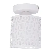 Потолочный светильник Arte Lamp TRAFORATO A8349PL-1WH