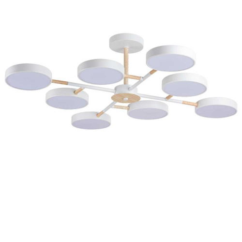 Потолочная люстра Lumion BRAD 5653/99CL Потолочная люстра Lumion BRAD 5653/99CL