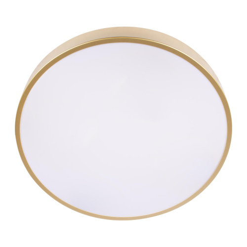 10228/A Потолочный светильник LOFT IT Flims фото 7 10228/A Потолочный светильник LOFT IT Flims фото 7