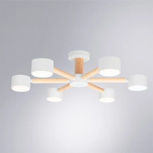 Потолочная люстра Arte Lamp TENDA A1624PL-6WH фото 2