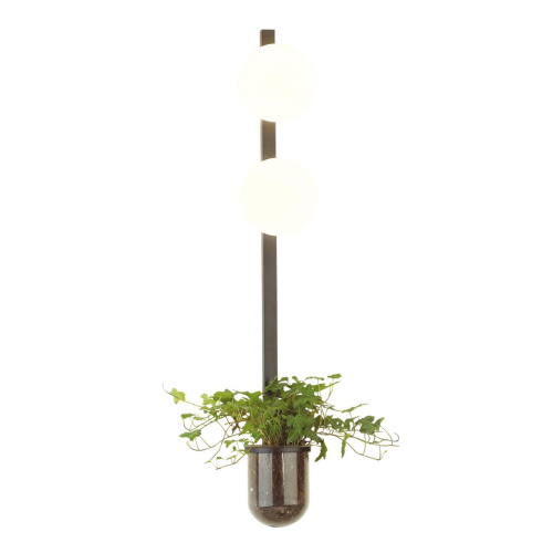 4681/2WA WALLI ODL20 463 черный/белый Настенный светильник E14 2*40W 220V FLOWER 4681/2WA WALLI ODL20 463 черный/белый Настенный светильник E14 2*40W 220V FLOWER