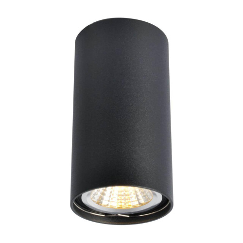 Потолочный светильник Arte Lamp A1516PL-1BK Потолочный светильник Arte Lamp A1516PL-1BK