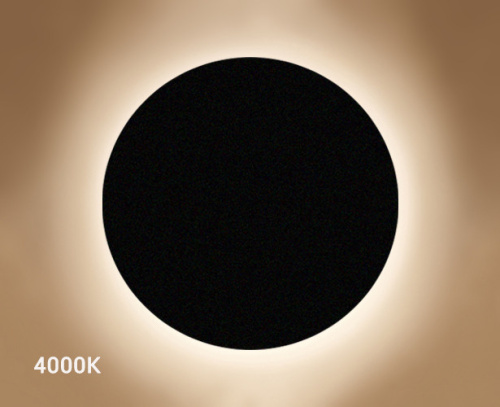 IT02-017 black светильник настенный фото 2