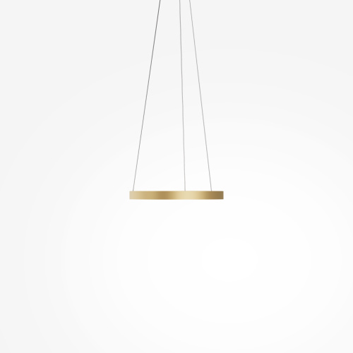 Подвесной светильник Maytoni MOD058PL-L22BSK фото 4