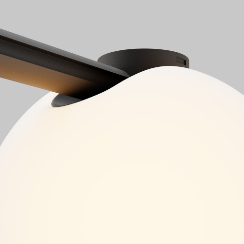 Трековый светильник Technical TR236-1-5W3K-B фото 7 Трековый светильник Technical TR236-1-5W3K-B фото 7