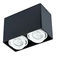 Точечный накладной светильник Arte Lamp PICTOR A5655PL-2BK