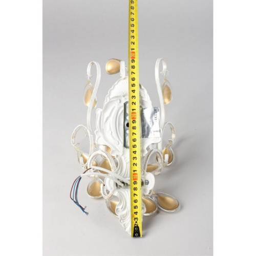 Светильник настенный (Бра) OML-74501-02 фото 2 Светильник настенный (Бра) OML-74501-02 фото 2