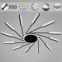 Потолочная люстра Reluce 87290-0.3-12 BK