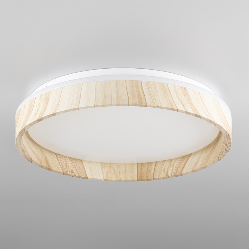 Citilux ENZO CL753352G LED RGB Светильник с пультом Клён фото 2 Citilux ENZO CL753352G LED RGB Светильник с пультом Клён фото 2