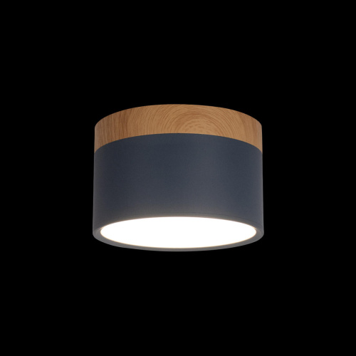 10162 Blue Накладной светильник LOFT IT Grape фото 2