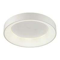 4066/40CL L-VISION ODL19 383 белый/серый Люстра потолочная с ДУ LED 40W 220V SOLE