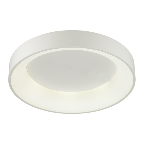 4066/40CL L-VISION ODL19 383 белый/серый Люстра потолочная с ДУ LED 40W 220V SOLE 4066/40CL L-VISION ODL19 383 белый/серый Люстра потолочная с ДУ LED 40W 220V SOLE