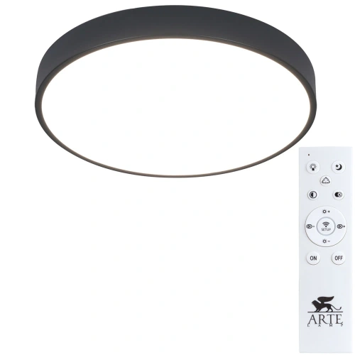 Потолочный светильник Arte Lamp ARENA A2661PL-1BK Потолочный светильник Arte Lamp ARENA A2661PL-1BK