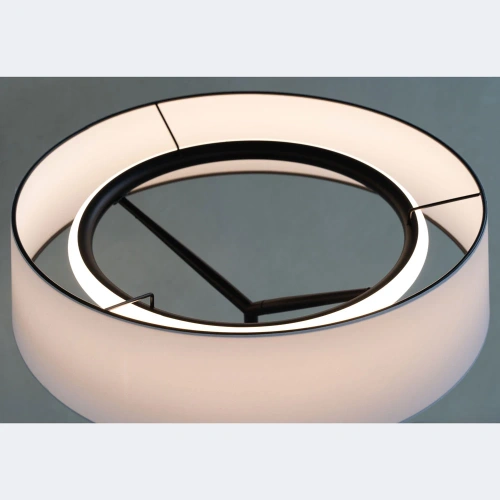 Декоративная настольная лампа Divinare ALMA 1029/06 TL-11 фото 2 Декоративная настольная лампа Divinare ALMA 1029/06 TL-11 фото 2