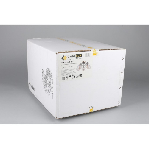 Люстра потолочная OML-93507-05 фото 7 Люстра потолочная OML-93507-05 фото 7