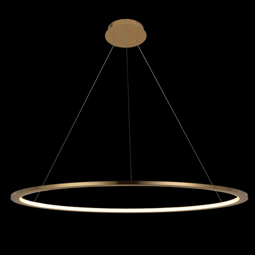 10014XL Подвесной светильник LOFT IT Ring фото 3