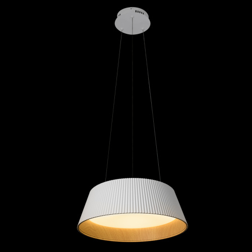 10224P White Подвесной светильник LOFT IT Evans фото 3