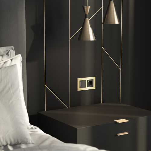 Рамка из металла на 2 поста АluMax шампань алюминий W0023511 фото 2 Рамка из металла на 2 поста АluMax шампань алюминий W0023511 фото 2