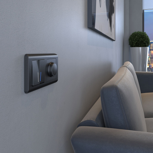 Выключатель двухклавишный с подсветкой (графит рифленый) W1120104 фото 5