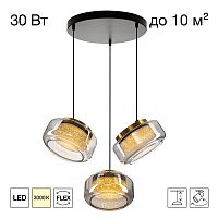 Citilux SIGNATURE CL247012 LED Подвесной светильник