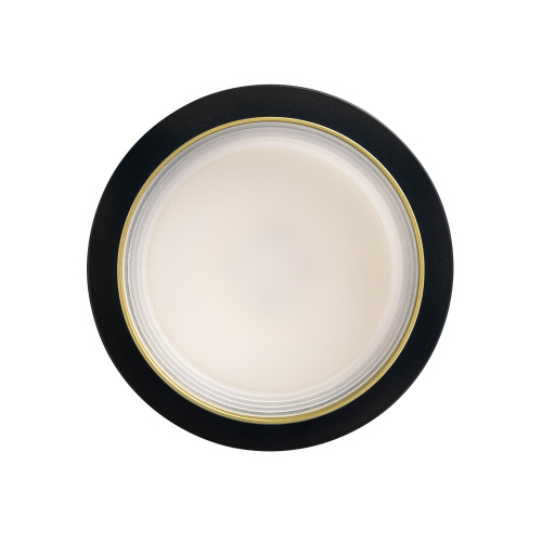 Citilux Hardy CL002D14 Встраиваемый светильник Чёрный+Золото фото 7 Citilux Hardy CL002D14 Встраиваемый светильник Чёрный+Золото фото 7