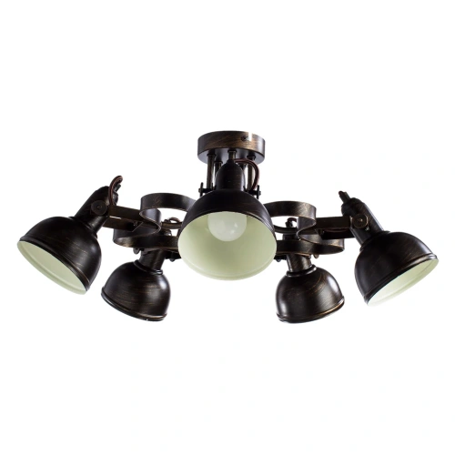 Потолочная люстра Arte Lamp MARTIN A5216PL-5BR