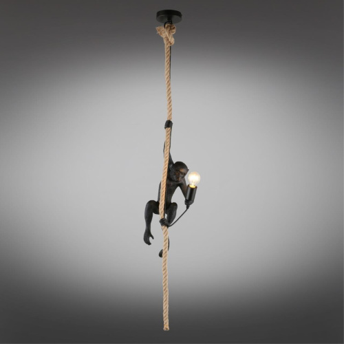 Светильник подвесной APL.309.16.01 фото 3 Светильник подвесной APL.309.16.01 фото 3