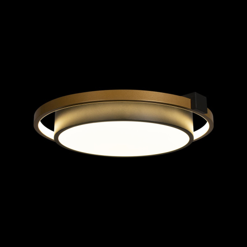 10169 Потолочный светильник LOFT IT Mike фото 3 10169 Потолочный светильник LOFT IT Mike фото 3