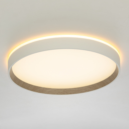 Citilux ETALON CL750320R LED RGB Светильник с пультом Белый+Бук фото 4 Citilux ETALON CL750320R LED RGB Светильник с пультом Белый+Бук фото 4