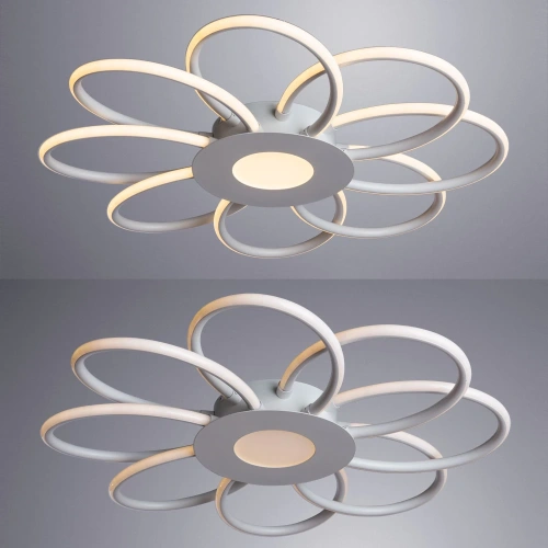 Потолочная люстра Arte Lamp POLLI A2528PL-8WH фото 3 Потолочная люстра Arte Lamp POLLI A2528PL-8WH фото 3