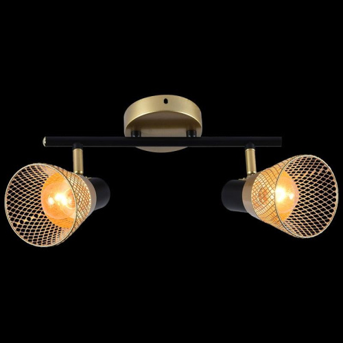 Спот Reluce 05966-0.8-02 GOLD+BK фото 2