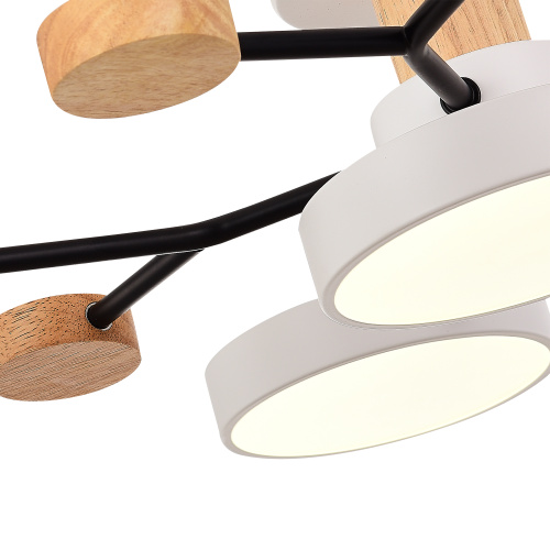 SLE6006-502-05 Светильник потолочный Белый/Белый LED 5*12W 3000K/4500K/6000K FAEMA фото 3