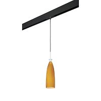 Комплект с трековым светильником Lightstar Agola (810013+595007) PRO810013