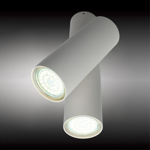 Светильник настенно-потолочный OML-20311-02 фото 4