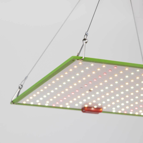 Прожектор светодиодный для растений ЭРА 50W 1310K Fito-80W-Led-QB Б0053285 фото 5