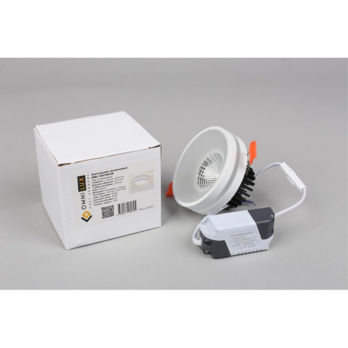 Светильник встраиваемый-накладной OML-102709-06 фото 4